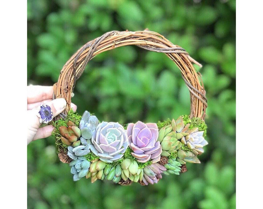 多肉植物で作ったクリスマスツリーがシックでナチュラルなかわいさ