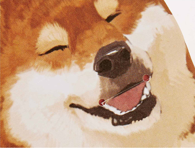 お正月の必需品 犬が ヘッヘッヘ と舌を出すポチ袋がフェリシモに登場 喜びが隠しきれない表情がかわいい Pouch ポーチ