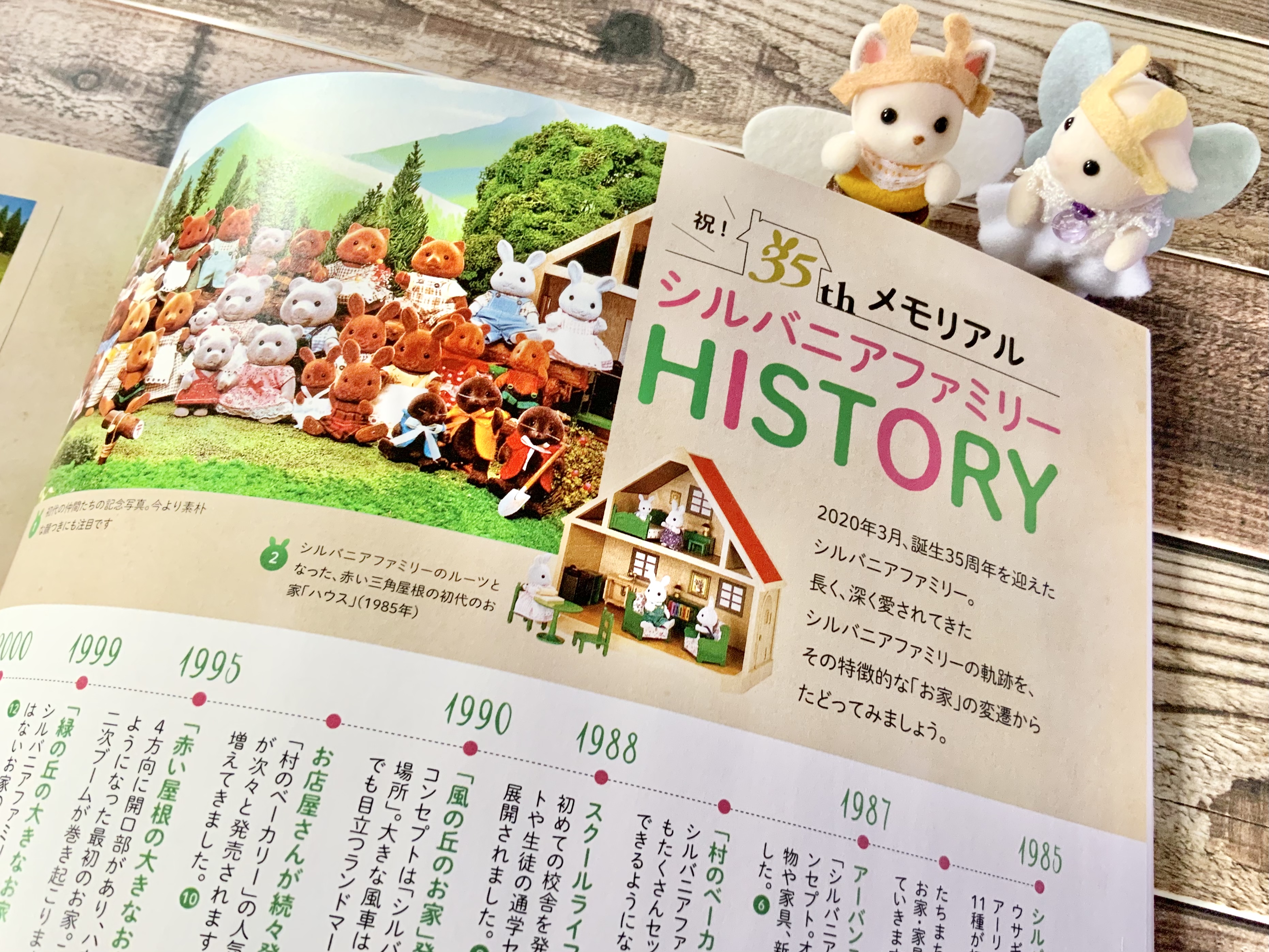 本5冊セット】 だいすきシルバニア Vol.1・2・5・6＋るるぶ シルバニア