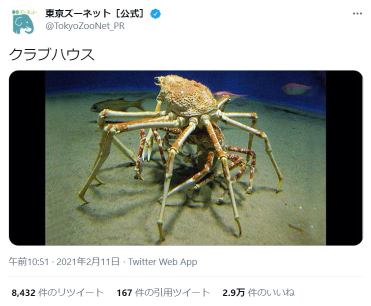 これがホントのクラブハウス カニの生態も学べるガチなクラブハウスを東京ズーネットが投稿して大人気に Pouch ポーチ