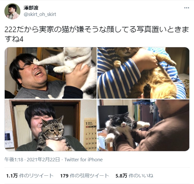 スカート 澤部渡の 猫の日ツイート がかわいそうだけど可愛い 222だから実家の猫が嫌そうな顔してる写真置いときますね Pouch ポーチ