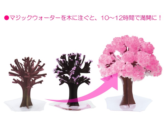桜ページ 紙製なのに桜の花が咲く！ おうちでお花見が楽しめる「Magic桜」が