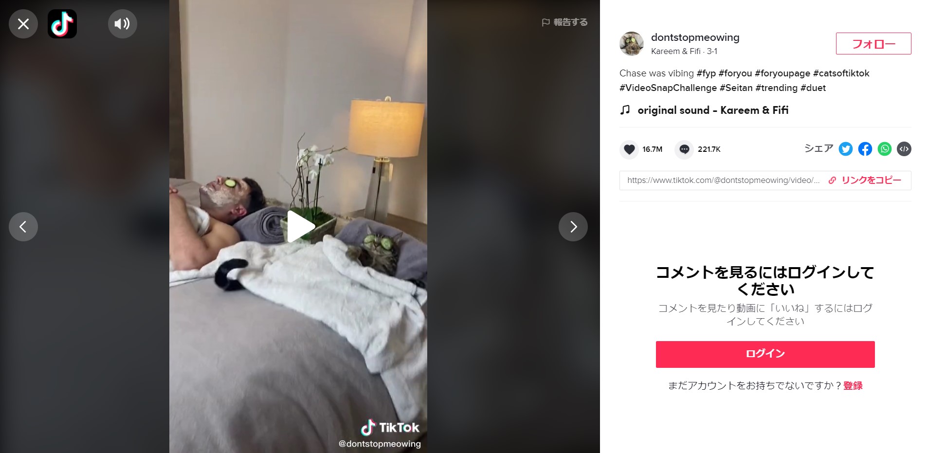 優雅に「きゅうりパック」してスパを楽しむ猫が大人気！ 起こそう 