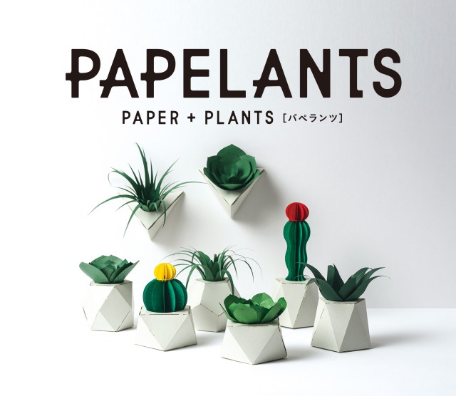 紙の観葉植物「パペランツ」で手軽に緑のある生活を♡ 自分で組み立てるから愛着もひとしおです