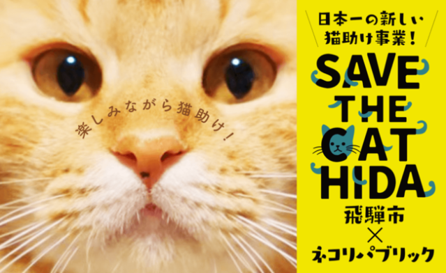 猫を救う「ふるさと納税」が飛騨市にある！ 猫を支援しながら猫グッズももらえる「SAVE THE CAT HIDA」とは？