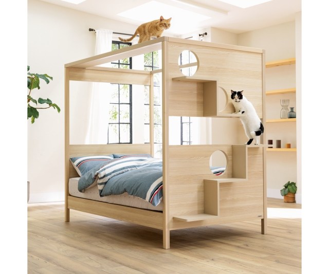 ディノスが「猫との距離が縮まるベッド」を本気で作ったよ！ 老舗フランスベッドが猫との生活を考え尽くした設計です