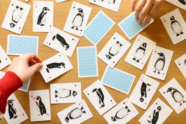 フェリシモ×東武動物公園「フンボルトペンギンのカードゲーム」が無理ゲーすぎる…あなたは違いがわかるかな？