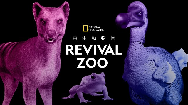 渋谷に絶滅動物たちがデジタルインスタレーションで蘇る…！ 「再生動物園」なるイベントが近未来です