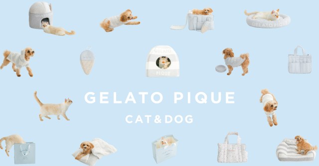 ジェラピケから犬猫のための新ライン「GELATO PIQUE CAT&DOG」がデビュー！ お洋服にベッド、キャリーと全部そろえたくなっちゃうよ
