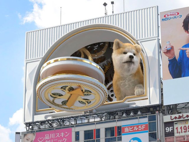 新宿が猫なら渋谷は「犬」！  巨大3Dビジョンにモフモフな秋田犬の子犬が登場＆8つの画面を自由に動き回るよ！