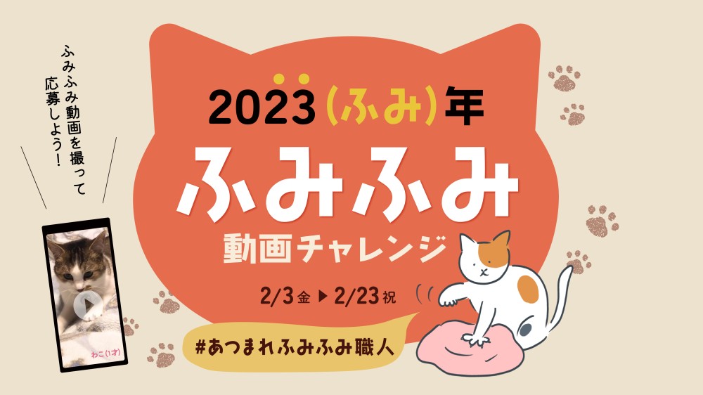 2023年2月22日はふみふみの年の猫の日🐈全猫好きが癒されるサンコー