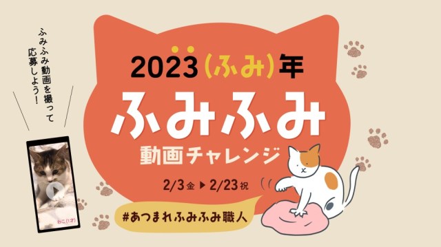 2023年2月22日はふみふみの年の猫の日🐈全猫好きが癒されるサンコー「ふみふみ動画チャレンジ」開催中