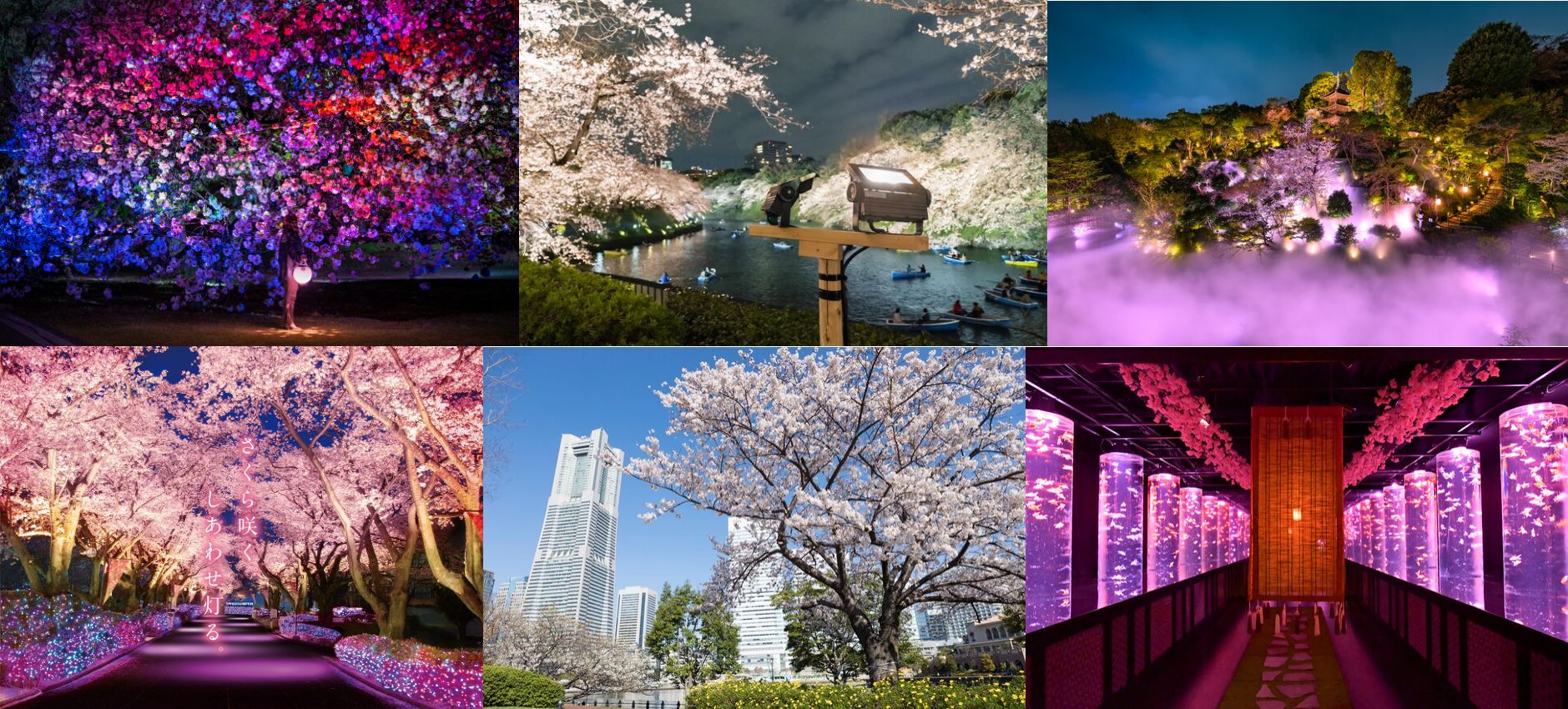 桜のシーズン、キタァ 都内近郊の注目お花見イベント11選 / 新宿 