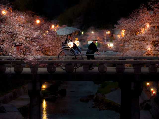 星野リゾートで体験できる “お花見” 旅プラン7選！ 「夜桜人力車」に「桜のブランコ」、「花見温泉」など魅力的な企画がいっぱい