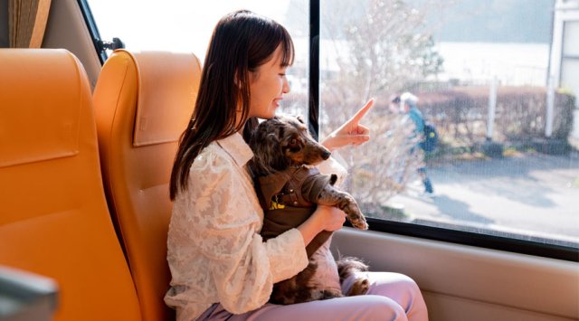 日本初🌸inumo芝公園発のバスツアーで愛犬と一緒にお花見に行けるよ！ わんちゃんと同じランチを楽しめるって最高すぎ…