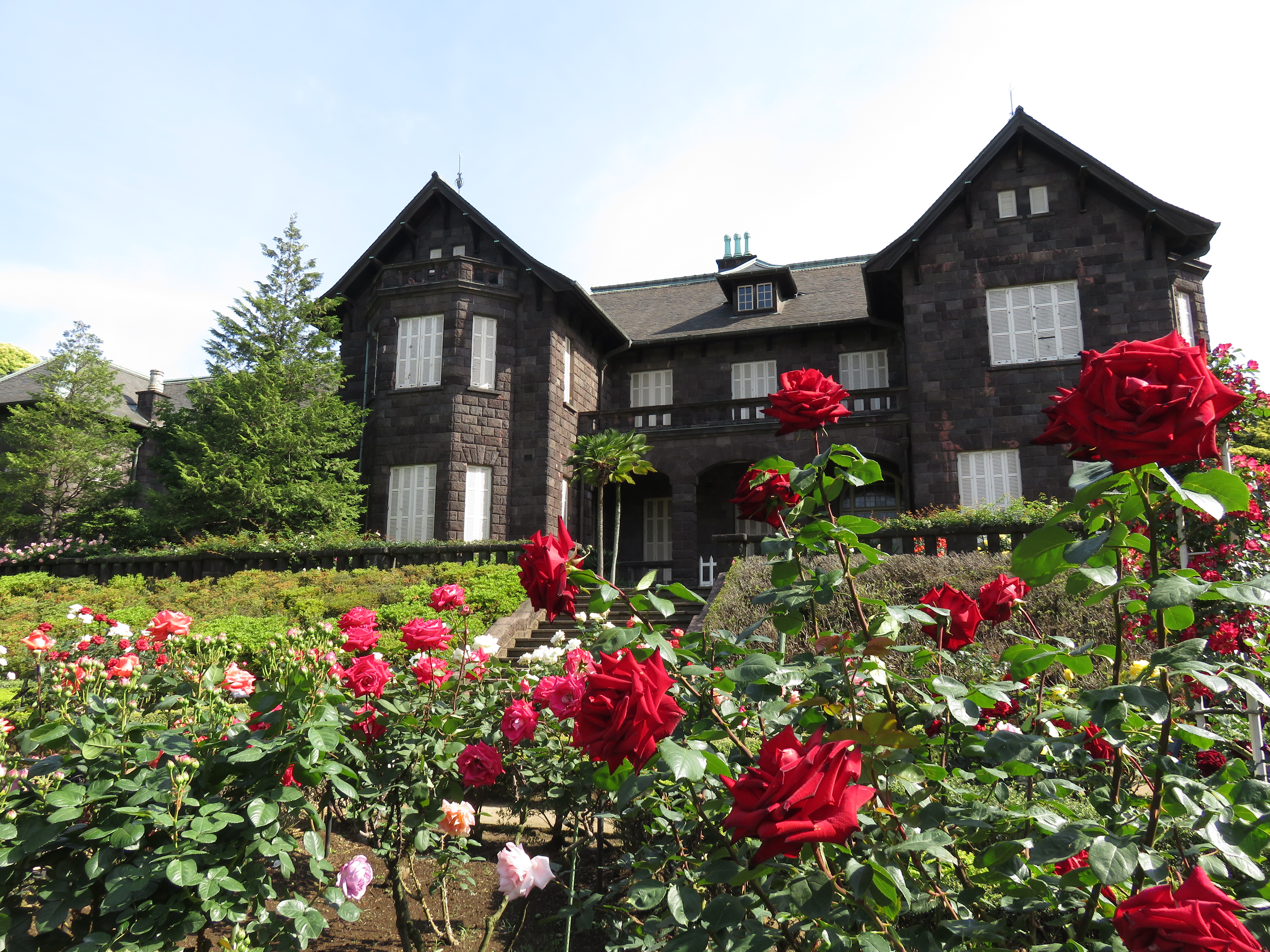 旧古河庭園の「バラ」が見ごろ🌹レトロな洋館と美しいバラの景色が入場料150円で楽しめマス | Pouch［ポーチ］