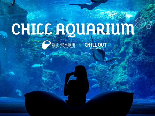 ヨギボーに寝っ転がって魚をながめる🐠新江ノ島水族館「チルアクアリウム」で極上の癒やしを体験しよ♪