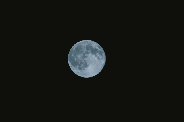 スーパームーンでブルームーン🌝今夜は空を見上げてみない？ 本日深夜に 1年のうち地球に最も近い満月が見れるよ！
