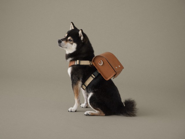土屋鞄から犬用のランドセルが登場！ 思わず「かわいい～♡」と声が出ちゃうこと間違いなしよ…！