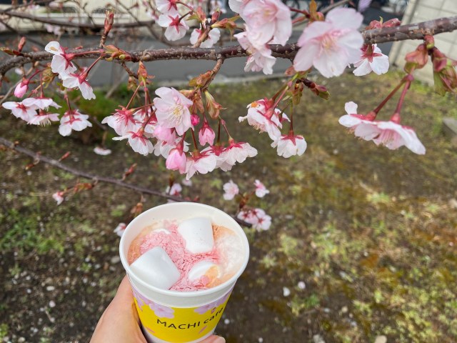 東京は7店舗限定！ローソンのマチカフェプラスで買える「桜ラテ」にうっとりしちゃって♡