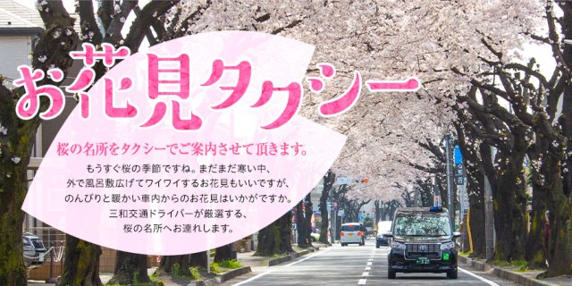 三和交通「お花見タクシー」が2024年も開催🌸タクシーに乗って桜の名所を巡りましょ🚕