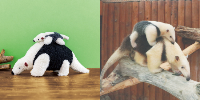 main_b2bdc2.jpg?w=580&h=305&crop=1