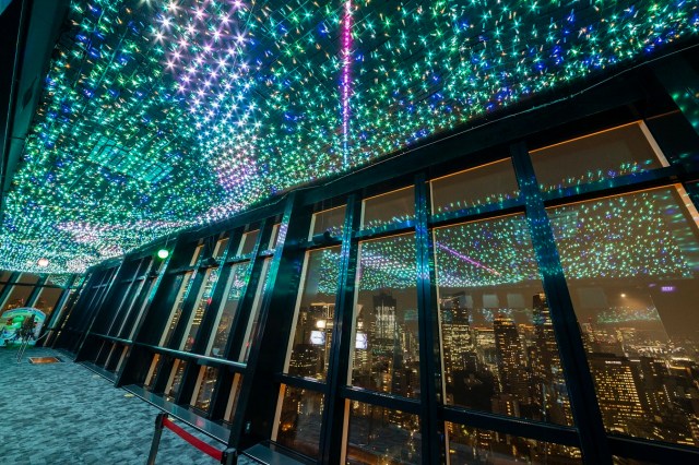 東京タワーの夏恒例イベントが2024年もスタート🎋3万個のイルミ＆夜景をロマンティックに楽しもう