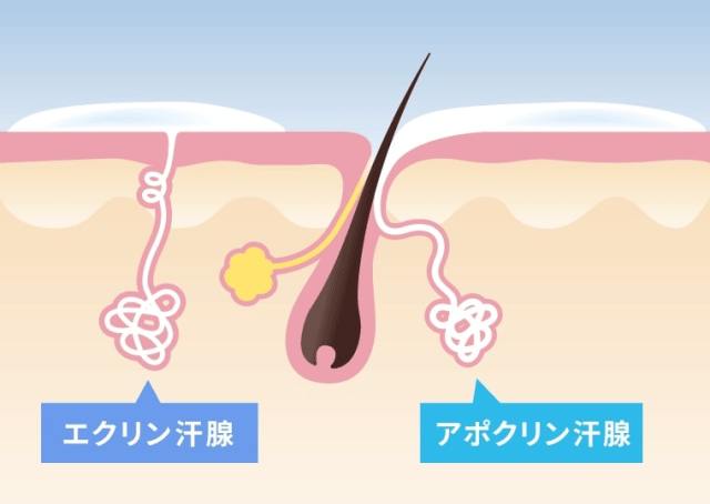 汗そのものは無臭!?  知っておきたい「汗とにおいの基本知識」と「おすすめの対策」をマンダムに教えてもらおうッ