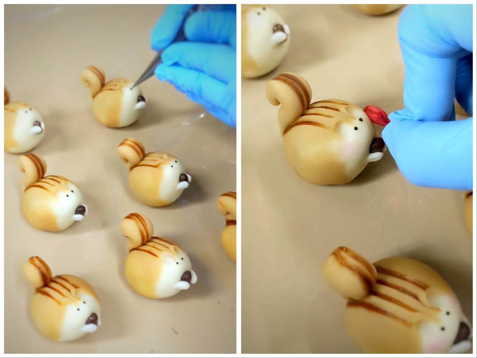 食いしんぼうリス☆抹茶どんぐり りすとどんぐり Mセット 5種: スイーツ・洋菓子 | スイーツ