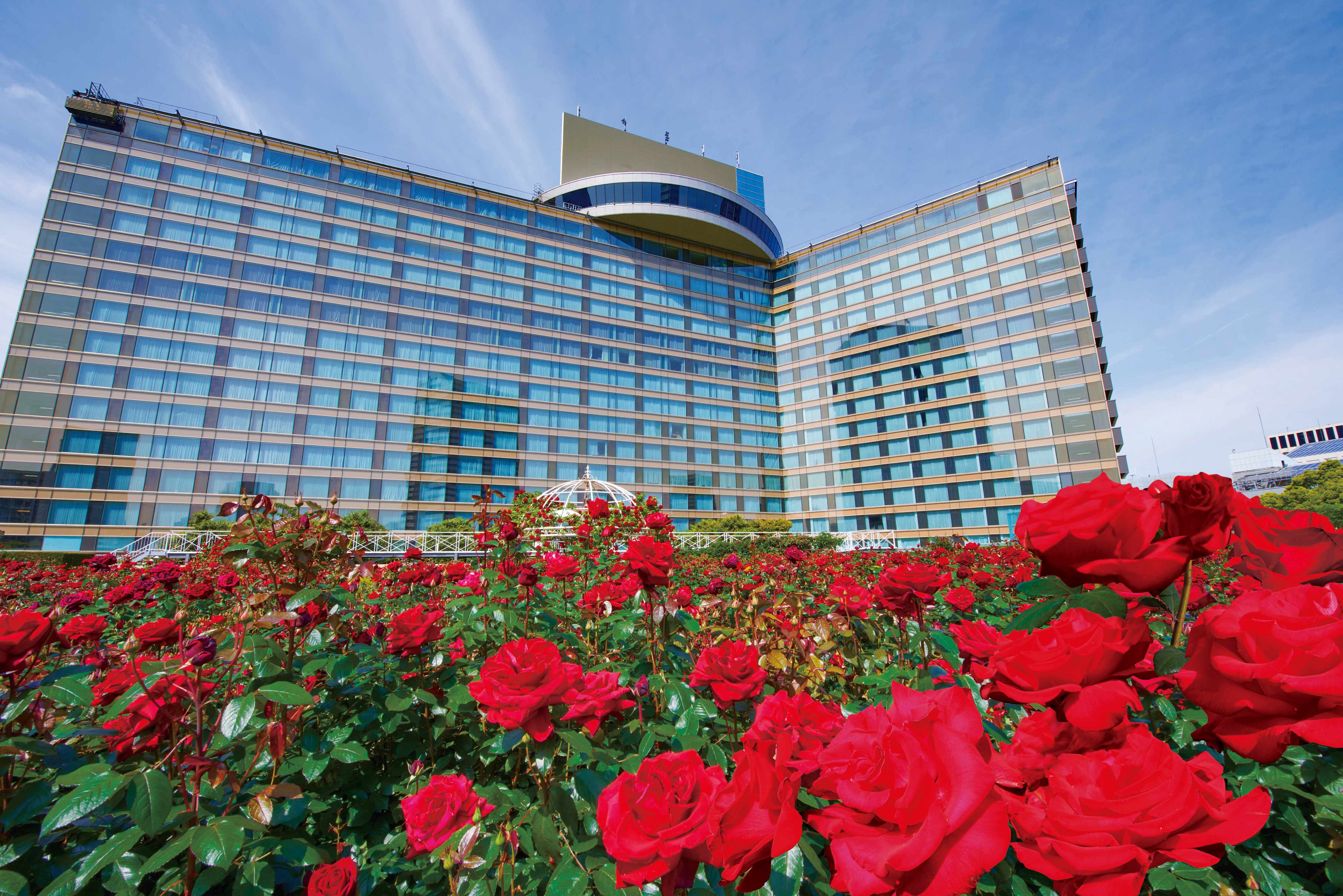 3万本の赤薔薇が咲く屋上庭園🌹ホテルニューオータニで限定公開中 3万本の赤薔薇が咲く屋上庭園🌹ホテルニューオータニで限定公開中