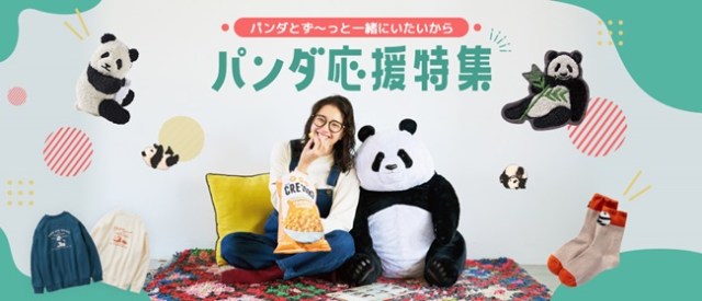 いま、パンダがアツい🐼注目が高まっているパンダグッズ＆パンダ情報をまとめてみた