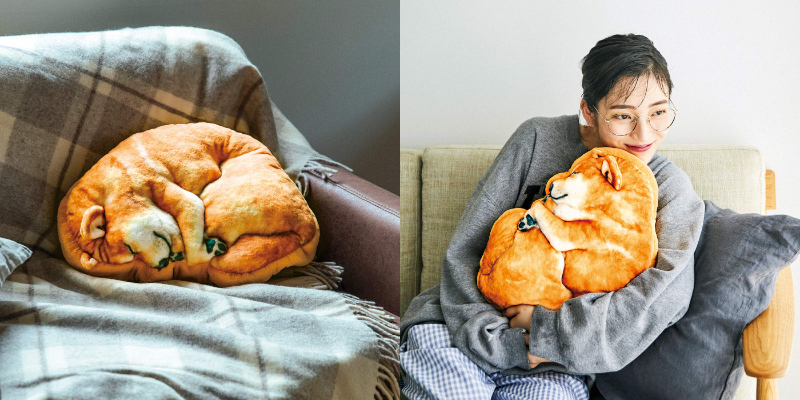 ミジンコ寝】かわいすぎて溶けそう🐕フェリシモからすやすや眠る柴犬型