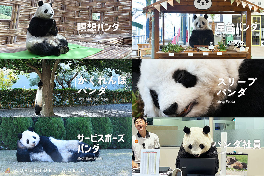 瞑想にかくれんぼ、サービスポーズまで!? アドベンチャーワールドで