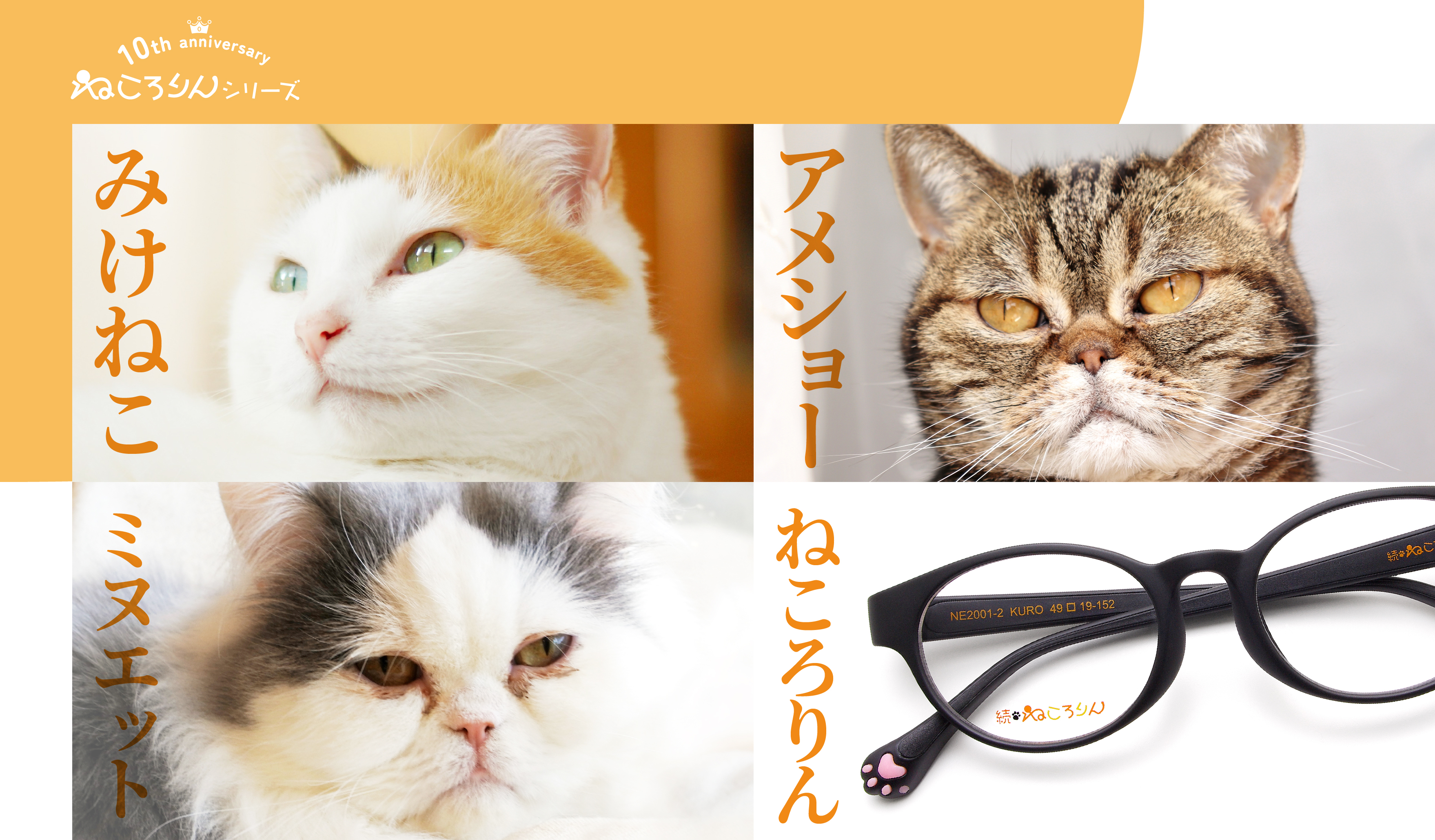 ねこ診断】自分にピッタリの猫ちゃん＆メガネフレームをみつけられる