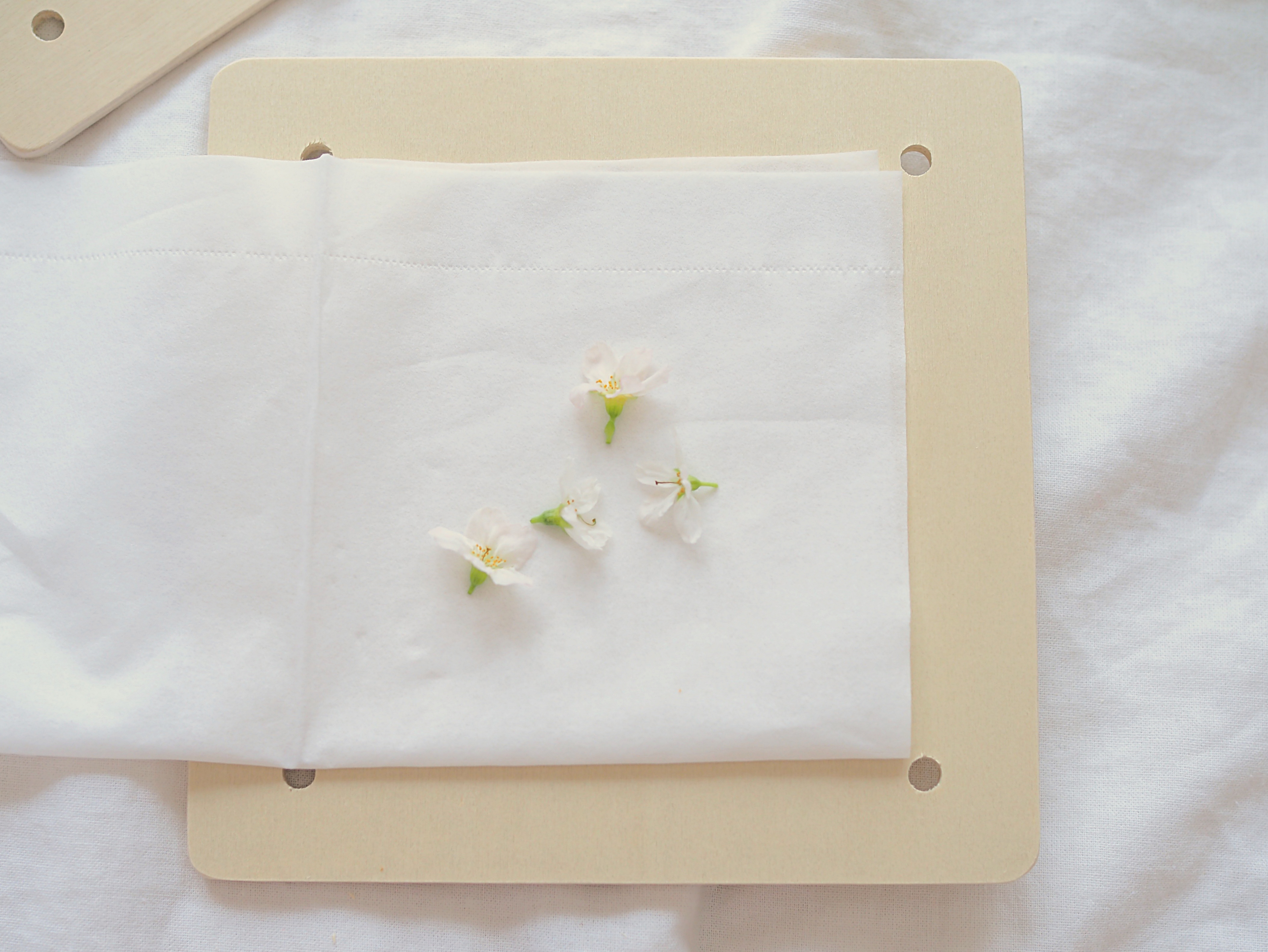 子どもにもらったお花、どうしてる？フライングタイガーコペンハーゲン