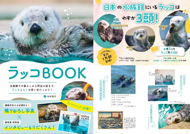 鳥羽水族館　フェリシモ　ラッコのぶらーんタオル〈キラちゃんとメイちゃん〉 YOU＋MORE! おなかをなでなで ラッコのぶらーんタオル〈メイ