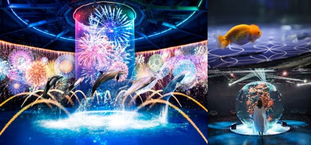 今年の夏は暑すぎる！それでも朝から活動したい日は「水族館」がいいぞ【最新の注目イベントまとめ】