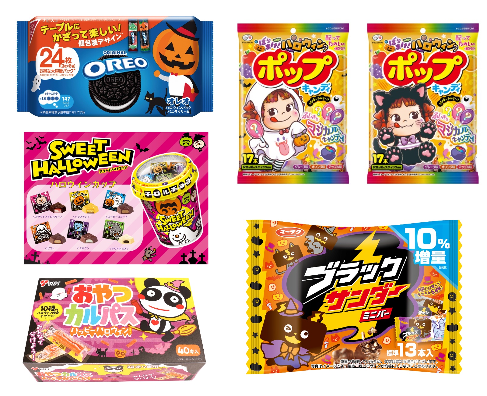 活動歴および当時の関連ビジュアル記録