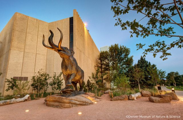 恐竜好きさんに朗報🦕科博史上初の特別展「大絶滅展ー生命史のビッグファイブ」すみっコぐらしとのコラボもあるよ〜！