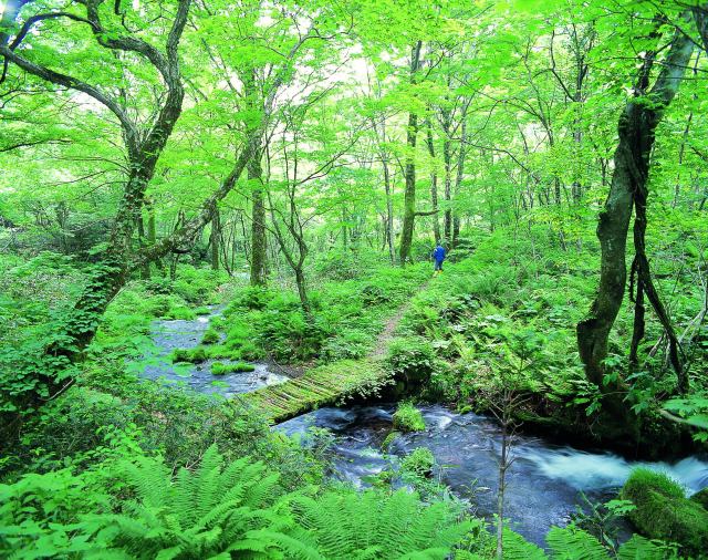 夏の疲れを癒やしたい人は注目～ッ！ 自分にとことんやさしくしたい人のための旅やイベントまとめ
