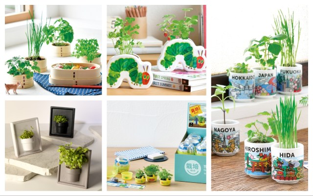 おうちで手軽に「キッチン菜園」始めてみない? 毎日愛でたくなるユニークな栽培キット5選🌱 おうちで手軽に「キッチン菜園」始めてみない? 毎日愛でたくなるユニークな栽培キット5選🌱