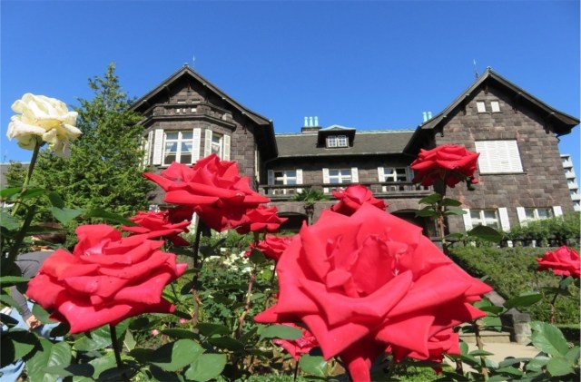 ようやく秋らしい気候になってきた今、出かけたくなる「秋バラ絶景スポット」まとめ🌹