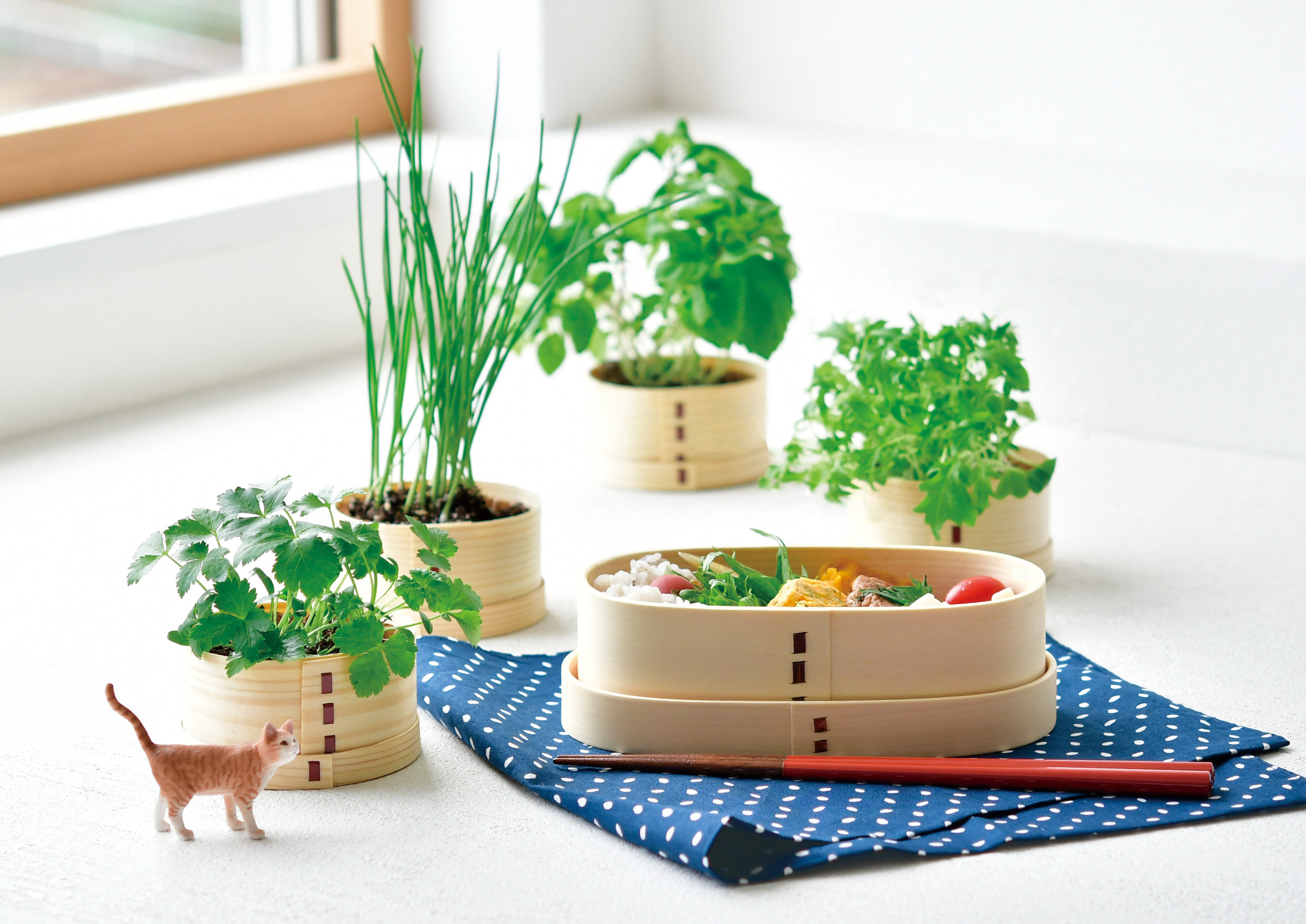 おうちで手軽に「キッチン菜園」始めてみない？ 毎日愛でたくなる