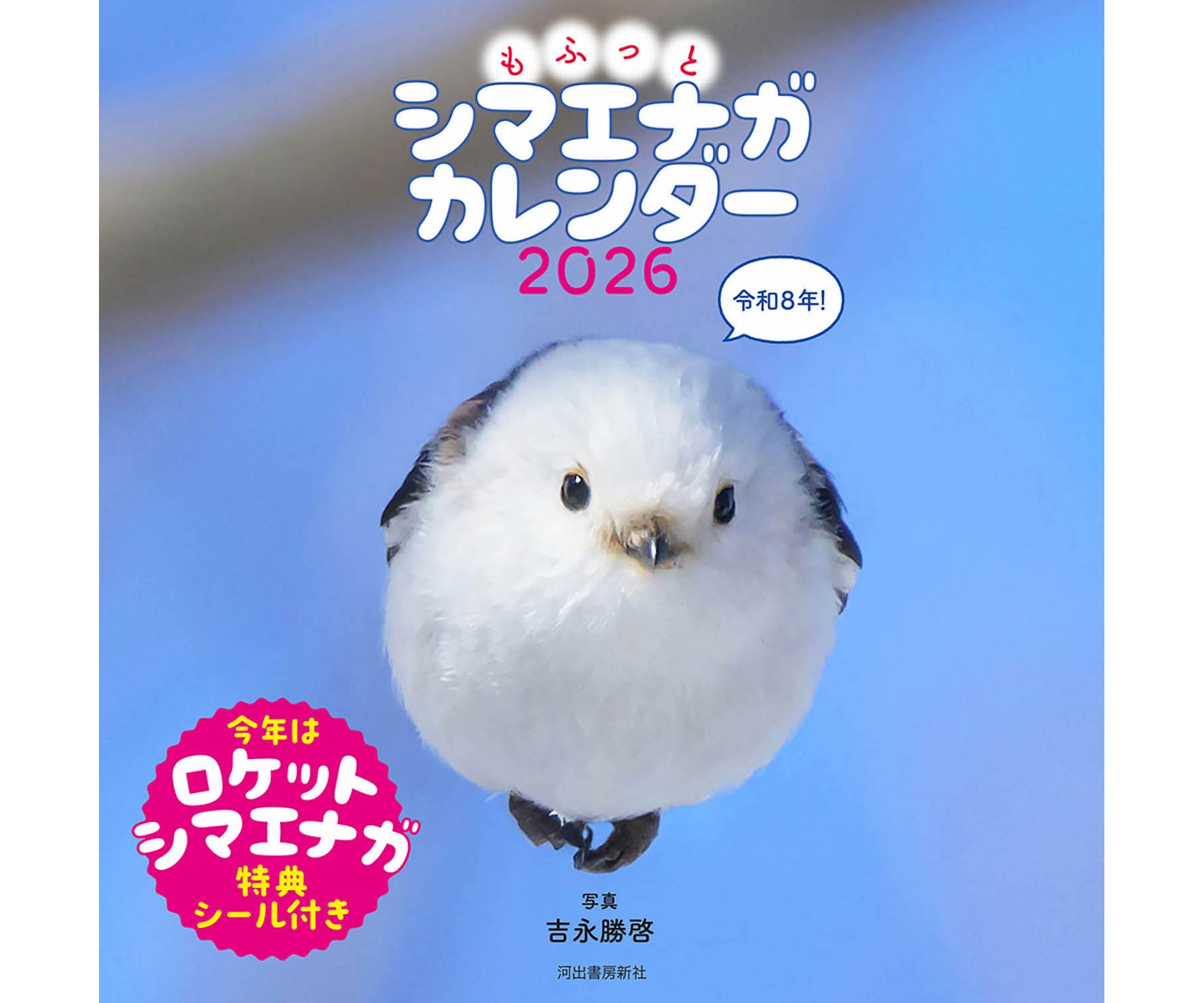 必死すぎるネコにもふもふのシマエナガ、歌も人気なマヌルネコ…📅2026