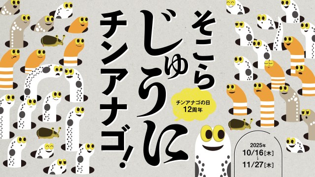 すみだ水族館でチンアナゴの日をお祝い！特別イベント 「そこらじゅうにチンアナゴ」は愛が深すぎるマニアックな企画もあるよ…！