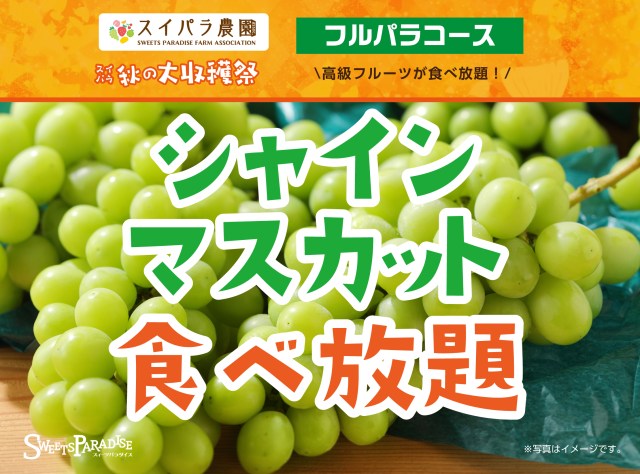 食欲の秋はスイパラへ🍇シャインマスカットに生絞りモンブラン、塩むすびに豚汁までぜ～んぶ食べ放題ですっ♡