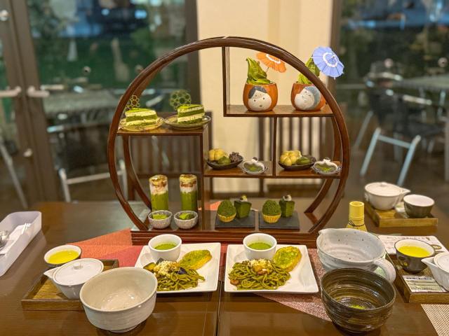 お茶のまち・静岡市で楽しめる体験4選🍵茶畑に点茶、お抹茶ビール、アフタヌーンティーを存分に味わってきました お茶のまち・静岡市で楽しめる体験4選🍵茶畑に点茶、お抹茶ビール、アフタヌーンティーを存分に味わってきました