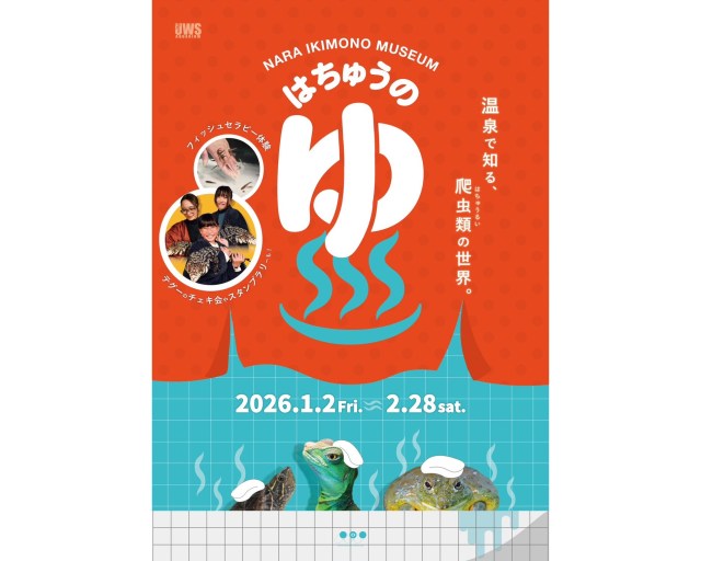 爬虫類たちも至福の表情で「ととのう」!? 奈良いきものミュージアムの企画展「はちゅうのゆ」でギャップ萌えしちゃいそうです♡