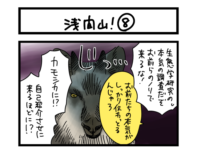 【夜の4コマ部屋】浅間山！ ⑧ / サチコと神ねこ様 第2575回 / wako先生