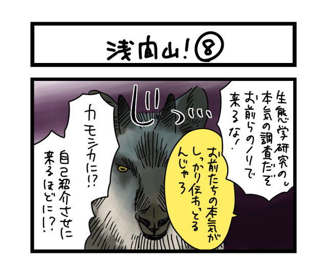 【夜の4コマ部屋】浅間山！ ⑧ / サチコと神ねこ様 第2575回 / wako先生